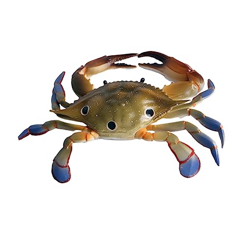 Abaodam 1stk Meerestierschmuck Meeresornament Spielzeug Krabbenschmuck Schwimmendes Krabbenmodell Meerestiermodell von Abaodam