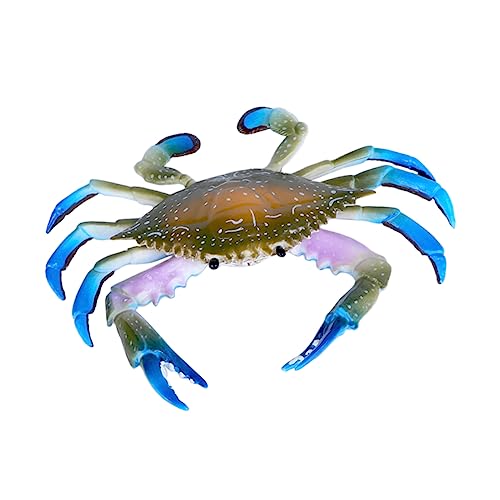 Abaodam 1stk Simulationskrabbenmodell Lernspielzeug Miniaturtiere Büroschmuck Künstliche Meerestiere Krabbenmodell Handwerk Meereslebewesen Kinderspielzeug Krabben-Ornament Plastik Abaodam 1stk Simulationskrabbenmodell Lernspielzeug Miniaturtiere Büroschmuck Künstliche Meerestiere Krabbenmodell Handwerk Meereslebewesen Kinderspielzeug Krabben-Ornament Plastik von Abaodam