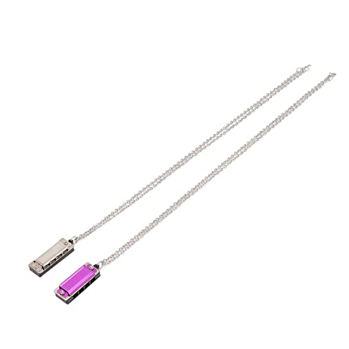 Abaodam 2 Stück Teiliges Doppelte Reihe Töne Farbiges Musikinstrument für Anfänger Robustes Lernspielzeug als für Mädchen und Jungen und Silber von Abaodam