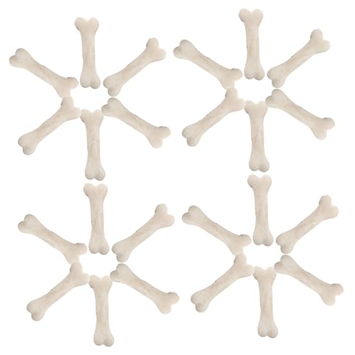Abaodam 20 Stück Teiliges Mini Knochenmodell Realistische Kleine Hundeknochen aus Resin Detailgetreue Künstliche Knochen Deko für Halloween DIY Bastelprojekte Spielzeugähnlich und Tragbar von Abaodam