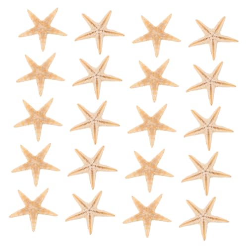 Abaodam 20 Stück Teiliges Mini Seesterne aus Naturmaterial für DIY Kerzenherstellung und Epoxidharzprojekte Strandthemen Dekoration für Hochzeiten Party und Wohnambiente Abaodam 20 Stück Teiliges Mini Seesterne aus Naturmaterial für DIY Kerzenherstellung und Epoxidharzprojekte Strandthemen Dekoration für Hochzeiten Party und Wohnambiente von Abaodam
