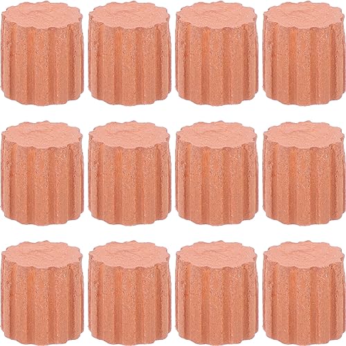 Abaodam 20Stücke Miniatur Ziegelsteine für DIY Bauprojekte Simulierte Kleine für Mikrolandschaften Sandtischgestaltung und Miniaturgärten von Abaodam