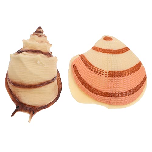 Abaodam 2St Simulation Muschelmuschel Muschelmodell Muschelmodell für weltbild für hochzeitsdeko Modell eines Meeresbewohners Muschelschale Figur Handwerk Abaodam 2St Simulation Muschelmuschel Muschelmodell Muschelmodell für weltbild für hochzeitsdeko Modell eines Meeresbewohners Muschelschale Figur Handwerk von Abaodam