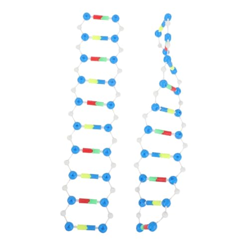 Abaodam Wissenschaftliches Lehrmittel DNA-modellbausatz Doppelhelix-Requisite Für Schüler Der Oberstufe von Abaodam