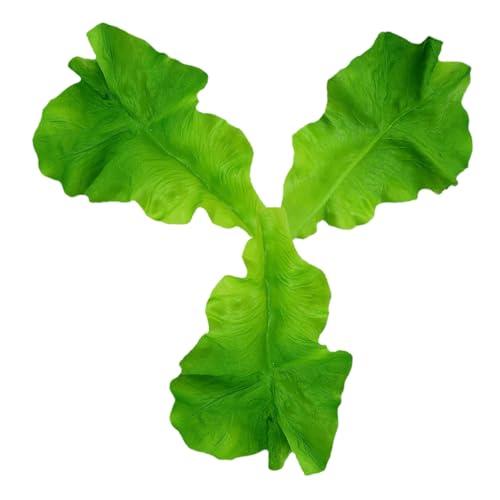 Abaodam 3 Stück Salatblatt Modell Simulation Lebensmittel Simulationsblatt Gefälschtes Gemüseblatt Ornament Restaurant Salatblatt Requisiten Künstlicher Salat Lebensechter Abaodam 3 Stück Salatblatt Modell Simulation Lebensmittel Simulationsblatt Gefälschtes Gemüseblatt Ornament Restaurant Salatblatt Requisiten Künstlicher Salat Lebensechter von Abaodam