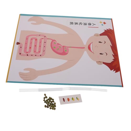 Abaodam 4 Sätze Human Digestive System Model DIY Kit für Interaktives Lernspielzeug zur Feinmotorischer Fähigkeiten Kreatives Bastelset für Schule und Frühbildung Vielseitig für Unterricht Abaodam 4 Sätze Human Digestive System Model DIY Kit für Interaktives Lernspielzeug zur Feinmotorischer Fähigkeiten Kreatives Bastelset für Schule und Frühbildung Vielseitig für Unterricht von Abaodam