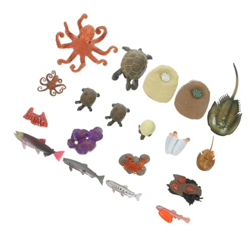 Abaodam 4 Sätze Tierischer Wachstumszyklus Kognitives Spielzeug Lernen Figuren Zum Lebenszyklus Von Meerestieren Meereslebewesenfiguren Strumpf Geschenk Schildkröte Kind Lehrmittel Plastik von Abaodam