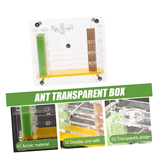 Abaodam 4 Stück Futterbox für Ameisen ameisenkönigin ameisenkolonie Wissenschaft beobachten Spielzeug Ameisenhalter Haustier Spielzeuge Geschenk für wissenschaftliche Experimente Acryl von Abaodam