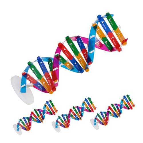 Abaodam 4 Stück Teiliges DNA Modell Doppelhelix Struktur Wissenschaftliches Lernspielzeug für Schule und Labor DIY Molekulares Modell Biologisches Bildungswerkzeug für Schüler von Abaodam