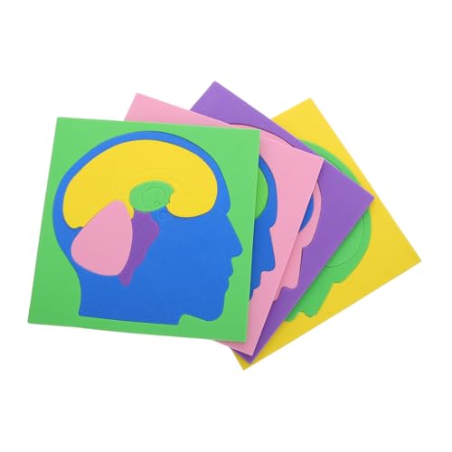 Abaodam 4 Stück Teiliges Montessori Lernspielzeug Puzzle zum Erkennen Gehirnstruktur für Interaktives Modell Kreativität und Praktischen Fähigkeiten von Abaodam