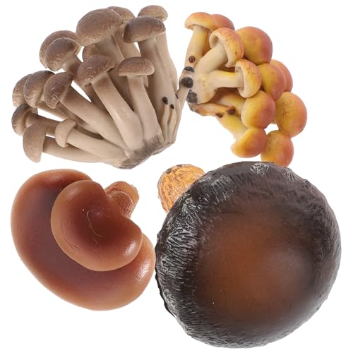 Abaodam 4 Teiliges Set Mit Simuliertem Wachstumszyklus Pilzwachstumszyklus Früherziehung Wissenschaft Und Bildung Spielzeugmodell Modelle Pilz Lernspielzeug Agaric von Abaodam
