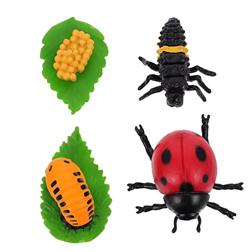 Abaodam 4Stücke Marienkäfer Lebenszyklus Figuren Satz Kinderspielzeug zur Naturwissenschaften Dekoration für Rollenspiele Detailreiche Lernspielzeuge für Kleinkinder Abaodam 4Stücke Marienkäfer Lebenszyklus Figuren Satz Kinderspielzeug zur Naturwissenschaften Dekoration für Rollenspiele Detailreiche Lernspielzeuge für Kleinkinder von Abaodam
