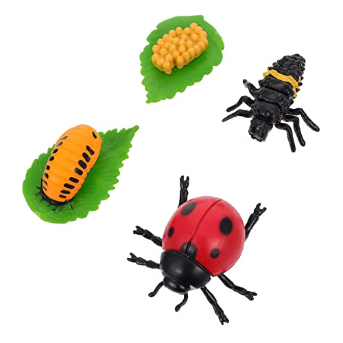Abaodam 4Stücke Teiliges Insektenwachstumszyklus Modell für Lustige Marienkäfer Figuren Dekorieren für Lernspiele und Kreative Rollenspiele von Abaodam