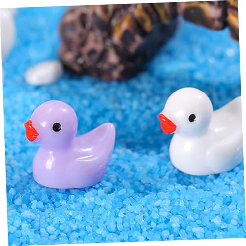 Abaodam 50 Stück Künstliche Enten Kleine Enten Mini Enten Garten Landschaftsdekoration Winzige Enten Miniaturstatuen Miniatur Enten Winzige Modelle Entenfiguren Mini Figuren Abaodam 50 Stück Künstliche Enten Kleine Enten Mini Enten Garten Landschaftsdekoration Winzige Enten Miniaturstatuen Miniatur Enten Winzige Modelle Entenfiguren Mini Figuren von Abaodam