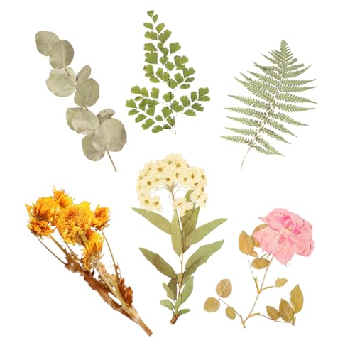 Abaodam Sticker-Set – 6er-Pack Pet-Aufkleber Für Tagebuch Planer Notizbuch Einfach Anzubringen Schön von Abaodam