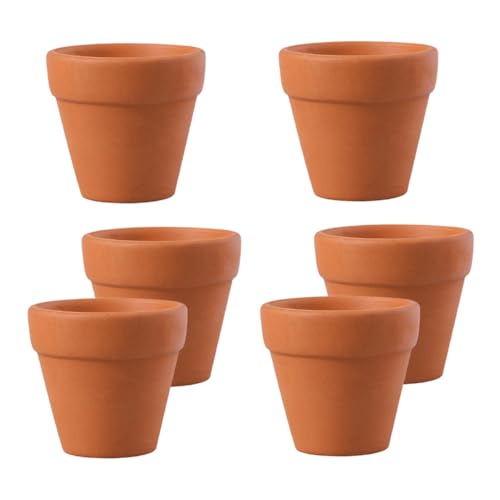 Abaodam 6 Stück Mini Blumentöpfe Aus Keramik Kleine Blumentöpfe Kaktus Pflanzgefäß Blumentöpfe Für Draußen Keramik Pflanztopf Kleine Sukkulenten Töpfe Bonsai Baum Winzige von Abaodam