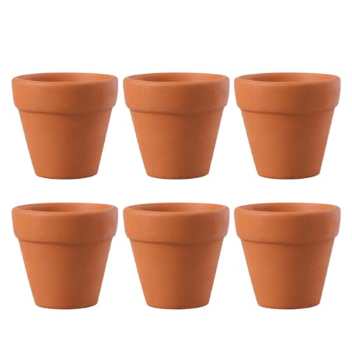 Abaodam 6 Stück Mini-blumentopf Aus Keramik Kleine Saftige Töpfe Mini-pflanztöpfe Minitöpfe Für Pflanzen Mini Blumentöpfe Kleine Blumentöpfe Pflanztopf Aus Keramik Kaktus -pflanzer Ton von Abaodam