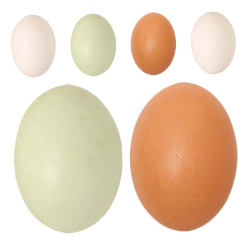 Abaodam 6 Stück Nachgeahmte Eier Simulierte Eier Künstliche Eier Gebratene Eier Gefälscht Künstliche Gefälschte Eier Gefälschte Eier Für Hühner Eier Ostervorräte Hölzern von Abaodam