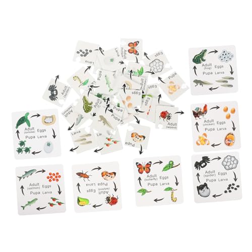 Abaodam 7 Sets Lebenszyklus-Puzzle Jungen Und Mädchen Lernspielzeug Holzpuzzles Für Kleinkinder Lern- Und Pädagogisches Puzzlespielzeug Abaodam 7 Sets Lebenszyklus-Puzzle Jungen Und Mädchen Lernspielzeug Holzpuzzles Für Kleinkinder Lern- Und Pädagogisches Puzzlespielzeug von Abaodam