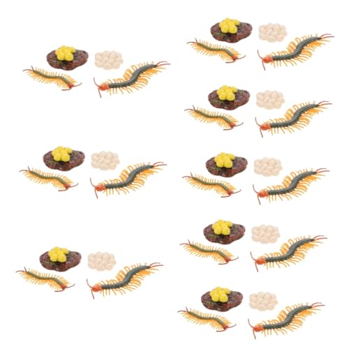 Abaodam 8 Sätze Modell des Wachstumszyklus Miniaturen Spielzeug Lebenszyklus des Tausendfüßlers Abbildung des Wachstumszyklus des Tausendfüßlers Früherziehung Prop Insekt Plastik von Abaodam