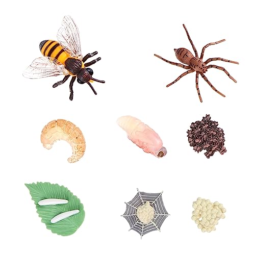 Abaodam 8 x Zyklussimulationsmodelle, pädagogisches Display für realistische Insektenfiguren für fantasievolle Spiel- und Lernaktivitäten Abaodam 8 x Zyklussimulationsmodelle, pädagogisches Display für realistische Insektenfiguren für fantasievolle Spiel- und Lernaktivitäten von Abaodam