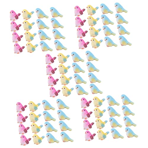 Abaodam 80 STK Mini-Vogel Möbel für Puppenhäuser Desktop-Spielzeug Pflanzendekor Töpfe für Pflanzen Vogelstatuen aus Kunstharz kleine Vogelmodelle Sukkulenten Ornamente dekorativer Vogel von Abaodam