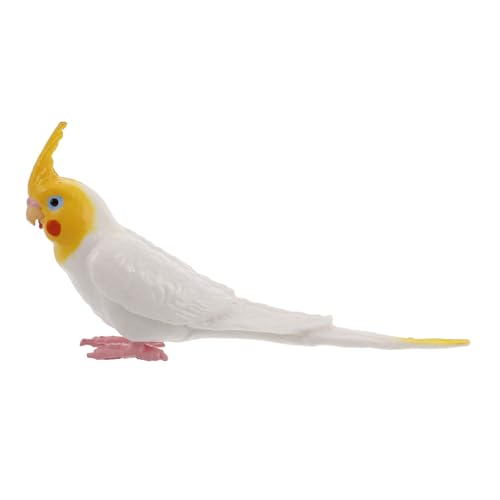 Abaodam Simulation Cockatiel Papagei Modell Realistische Vogelfigurine Für Garten Deko Und Innenräume Detailreiche Nachbildung Aus Hochwertigen Materialien Für Wohn Und Büroschmuck von Abaodam