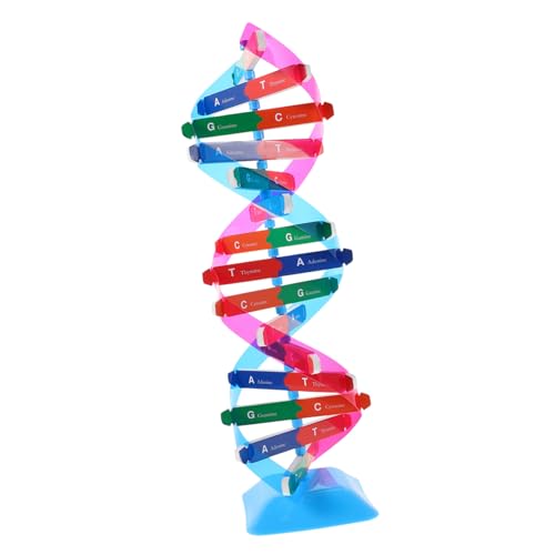 Abaodam DNA Doppelhelix Modell Bausatz Stabiles Plastik Genstruktur Lernspielzeug Interaktives Wissenschaftliches Gen-Modell für Schüler und Biologieunterricht für Vererbungslehre Projekte von Abaodam