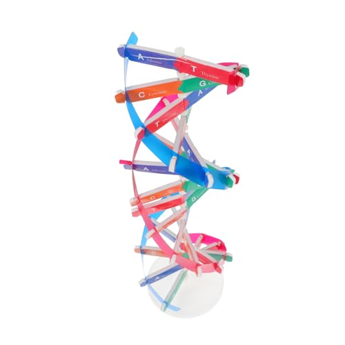 Abaodam DNA Modell Doppelhelix Bausatz für Anschauliches Lehrmittel mit Detailreicher Struktur Interaktive Wissenschaft zum Zusammenbauen Unterrichtsmodell für Biologie und Experimente von Abaodam