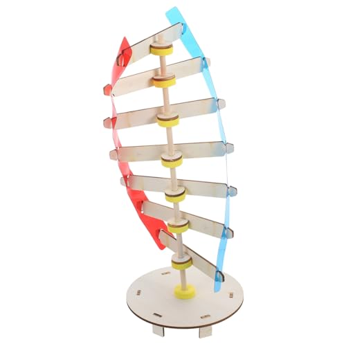 Abaodam DNA Modell Werkzeuge Für Kinderwerkzeuge Kinderspielzeug Modelle Wissenschaftliche Gene Lernwerkzeug Wissenschaftliches Doppelhelix Modell Montagespielzeug Abaodam DNA Modell Werkzeuge Für Kinderwerkzeuge Kinderspielzeug Modelle Wissenschaftliche Gene Lernwerkzeug Wissenschaftliches Doppelhelix Modell Montagespielzeug von Abaodam