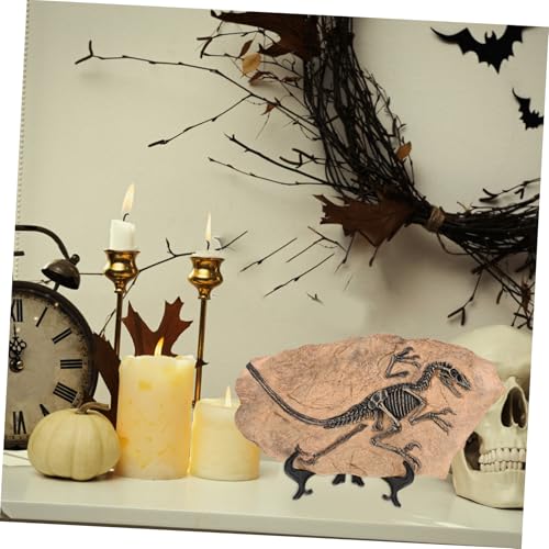 Abaodam Dinosaurier Fossil Modell Realistische Simulation Pädagogisch Bunte Spiralmuster als Kinderdeko und für Kleine Paläontologen Abaodam Dinosaurier Fossil Modell Realistische Simulation Pädagogisch Bunte Spiralmuster als Kinderdeko und für Kleine Paläontologen von Abaodam