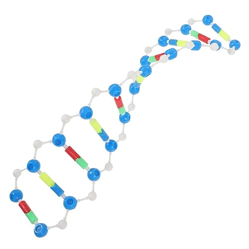 Abaodam DNA-modellbausatz Für Doppelhelixstruktur Lehrmittel Für Biologie Chemie Und Ingenieurwesen Für Klassenzimmer Und Wissenschaftliche Experimente Abaodam DNA-modellbausatz Für Doppelhelixstruktur Lehrmittel Für Biologie Chemie Und Ingenieurwesen Für Klassenzimmer Und Wissenschaftliche Experimente von Abaodam