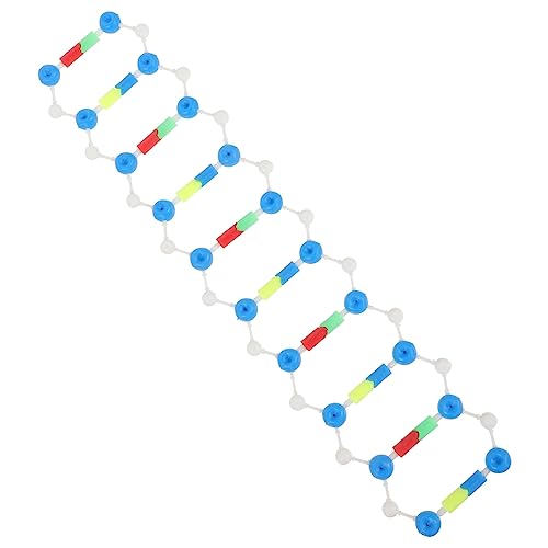 Abaodam Double Helix DNA Modell Selbstmontierbares Lernwerkzeug für Schüler Unterricht Didaktisches Hilfsmittel zur Veranschaulichung der DNA Struktur von Abaodam