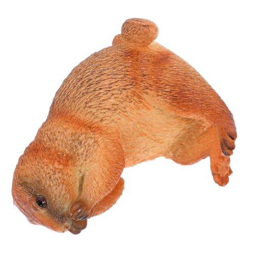 Abaodam Groundhog Modell Realistisches Tierfigur für PVC Dekoration Kognitiven Fähigkeiten und Beobachtungsvermögen für Lernspiele und Sammlerstück von Abaodam