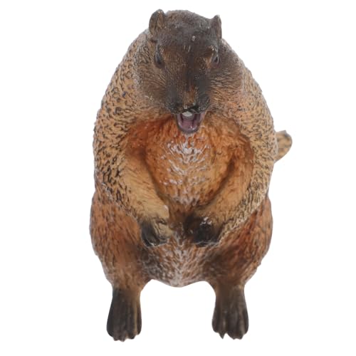 Abaodam Groundhog -Modell Tiermodell Landschaftstier Miniatur-murmeltier-Figur Tierfiguren Groundhog - Künstlicher Groundhog Simulation Groundhog -Figur -Modell Light Brown PVC Abaodam Groundhog -Modell Tiermodell Landschaftstier Miniatur-murmeltier-Figur Tierfiguren Groundhog - Künstlicher Groundhog Simulation Groundhog -Figur -Modell Light Brown PVC von Abaodam