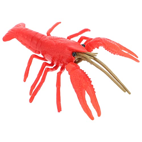Abaodam Hummer-Modell Meerestiermodell Miniaturen Dekorative Hummermodelle Meerestierfiguren Lebendiges Hummerhandwerk Hummer-skulptur Hummer- Hummer Plastik Rot Abaodam Hummer-Modell Meerestiermodell Miniaturen Dekorative Hummermodelle Meerestierfiguren Lebendiges Hummerhandwerk Hummer-skulptur Hummer- Hummer Plastik Rot von Abaodam
