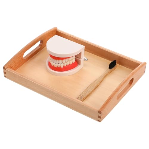 Abaodam Kinderzahnbürsten Spielset aus Holz mit Holztablett Pädagogisches zur Guter Gewohnheiten Für Ab Jahren zur Frühen Erziehung Zufällige Farbe Zufällige Farbe von Abaodam