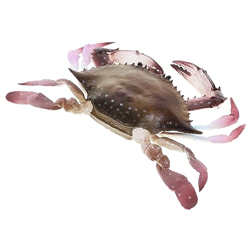 Abaodam Krabbe Spielzeugmodell Simulierte Krabbe für Ozeanspielzeug Lernspielzeug und Partygeschenk für Kreative Spiele und Dekoration im Aquarium von Abaodam