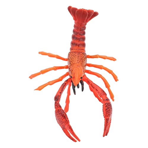 Abaodam Lebensechte Hummer Figur Simulation Hummer Modell Für Dekoration Lernspielzeug Und Partydeko Vivid Lobster Crafts Aquarien Abaodam Lebensechte Hummer Figur Simulation Hummer Modell Für Dekoration Lernspielzeug Und Partydeko Vivid Lobster Crafts Aquarien von Abaodam