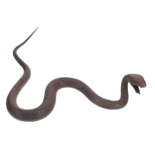 Abaodam Lebensechtes Schwarzes Mamba Schlangenspielzeug Für Streiche Aprilscherz Und Halloween Dekorationen Realistische Schlangenrequisite Für Und Erwachsene Abaodam Lebensechtes Schwarzes Mamba Schlangenspielzeug Für Streiche Aprilscherz Und Halloween Dekorationen Realistische Schlangenrequisite Für Und Erwachsene von Abaodam
