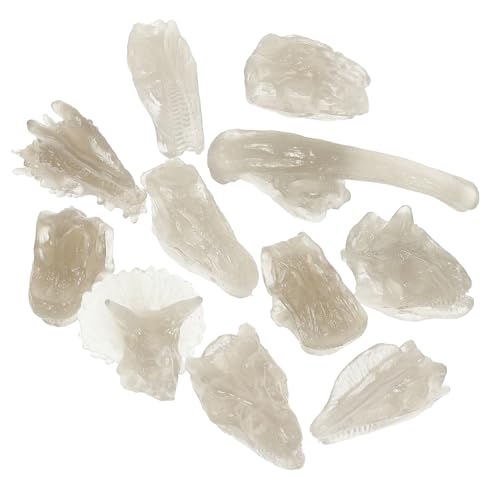 Abaodam Leuchtendes Dinosaurier Schädelmodell aus PVC Realistische Fossile Knochen Kreatives Kinderspielzeug Ab Jahre Fördert Lernfähigkeit und Handwerkliche Fertigkeiten Dekoratives Abaodam Leuchtendes Dinosaurier Schädelmodell aus PVC Realistische Fossile Knochen Kreatives Kinderspielzeug Ab Jahre Fördert Lernfähigkeit und Handwerkliche Fertigkeiten Dekoratives von Abaodam