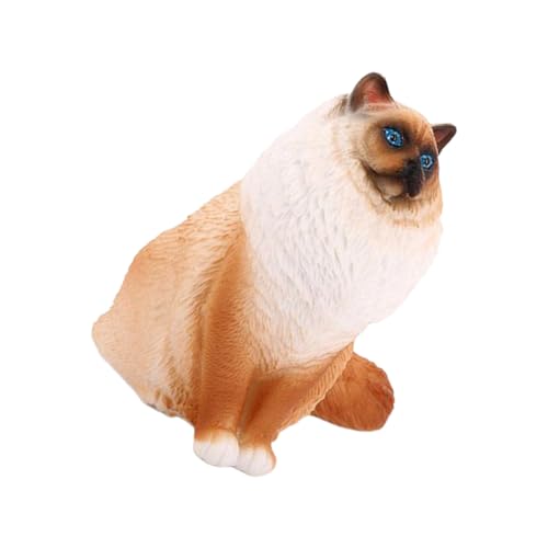 Abaodam Kinderfreundliches Katzenmodell – Lernspielzeug Aus Kunststoff Realistische Katzensimulation Heimdekoration Kognitive Entwicklung von Abaodam