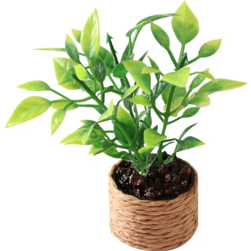 Abaodam Puppen Miniatur Pflanze Modell Dekorative Miniatur Blumentopf Für Puppenhaus von Abaodam