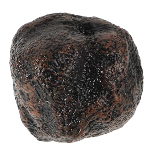 Abaodam Modell Mit Schwarzem Trüffel Kinderzubehör Simulationshausspielzeug Kleinkindspielzeug Lebensmittelspielzeug Mini-simulationsspielzeug Für Die Küche Plastik Black Abaodam Modell Mit Schwarzem Trüffel Kinderzubehör Simulationshausspielzeug Kleinkindspielzeug Lebensmittelspielzeug Mini-simulationsspielzeug Für Die Küche Plastik Black von Abaodam