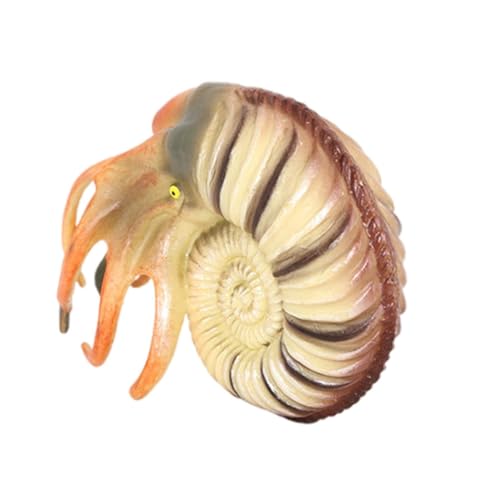 Abaodam Simulation Nautilus Modell Meerestier Spielzeug für Kinder Kunststoff Tierfigur Dekoration für Aquarien Sichere und Verschleißfeste Verarbeitung Pädagogisches Spielzeug von Abaodam