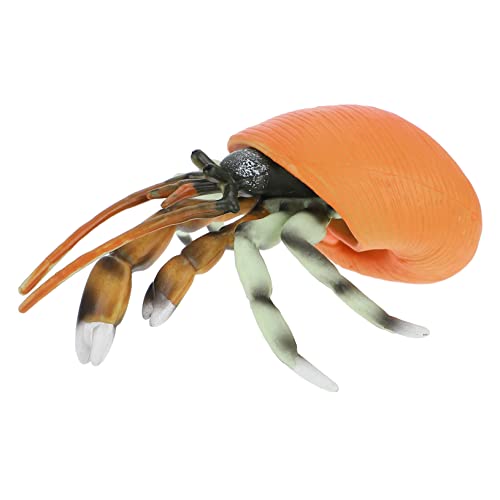Abaodam Nautilus-Modell kinderspielzeug für kinderknallzeug Krabbenmodell für Educational Toys gefälschtes Einsiedlerkrebs- Einsiedlerkrebs-Modell PVC von Abaodam