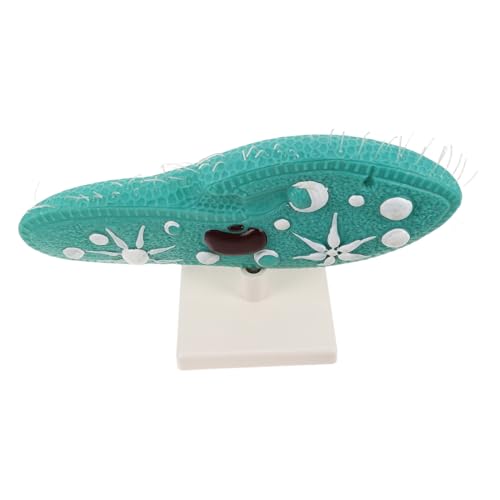 Abaodam Paramecium Modell mit Stabilem Verstellbarem Ständer Realistisches Einzeller-Modell für Biologieunterricht Mikroskopisches Lebewesen Lehrmodell für Schul-Labor und Abaodam Paramecium Modell mit Stabilem Verstellbarem Ständer Realistisches Einzeller-Modell für Biologieunterricht Mikroskopisches Lebewesen Lehrmodell für Schul-Labor und von Abaodam