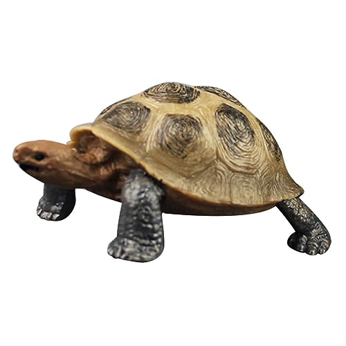 Abaodam Realistische Landschildkröte Modell Kunststoff Schildkröte Figur zum Spielen und Dekorieren, fördert die Tierkenntnisfähigkeiten für Geburtstage und besondere Abaodam Realistische Landschildkröte Modell Kunststoff Schildkröte Figur zum Spielen und Dekorieren, fördert die Tierkenntnisfähigkeiten für Geburtstage und besondere von Abaodam