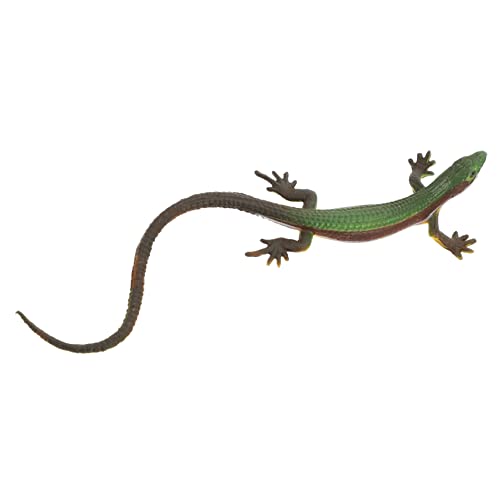 Abaodam Realistische Lizard Figur aus Kunststoff Sichere Glatte Oberfläche Langlebiges Reptilien Modell für Pädagogisches Reptil zur Dekoration Abaodam Realistische Lizard Figur aus Kunststoff Sichere Glatte Oberfläche Langlebiges Reptilien Modell für Pädagogisches Reptil zur Dekoration von Abaodam