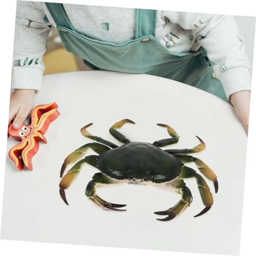 Abaodam Realistisches Krabbenmodell Kunststoff Realistische Simulation Meeres Tierfigur Lernspielzeug Aquarium Deko Kleines Krabbenornament Pädagogisches Anschauungsobjekt von Abaodam